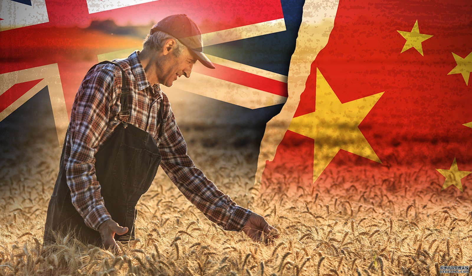 損失超5436億？澳新貿(mào)易部長(zhǎng)再向中方求和